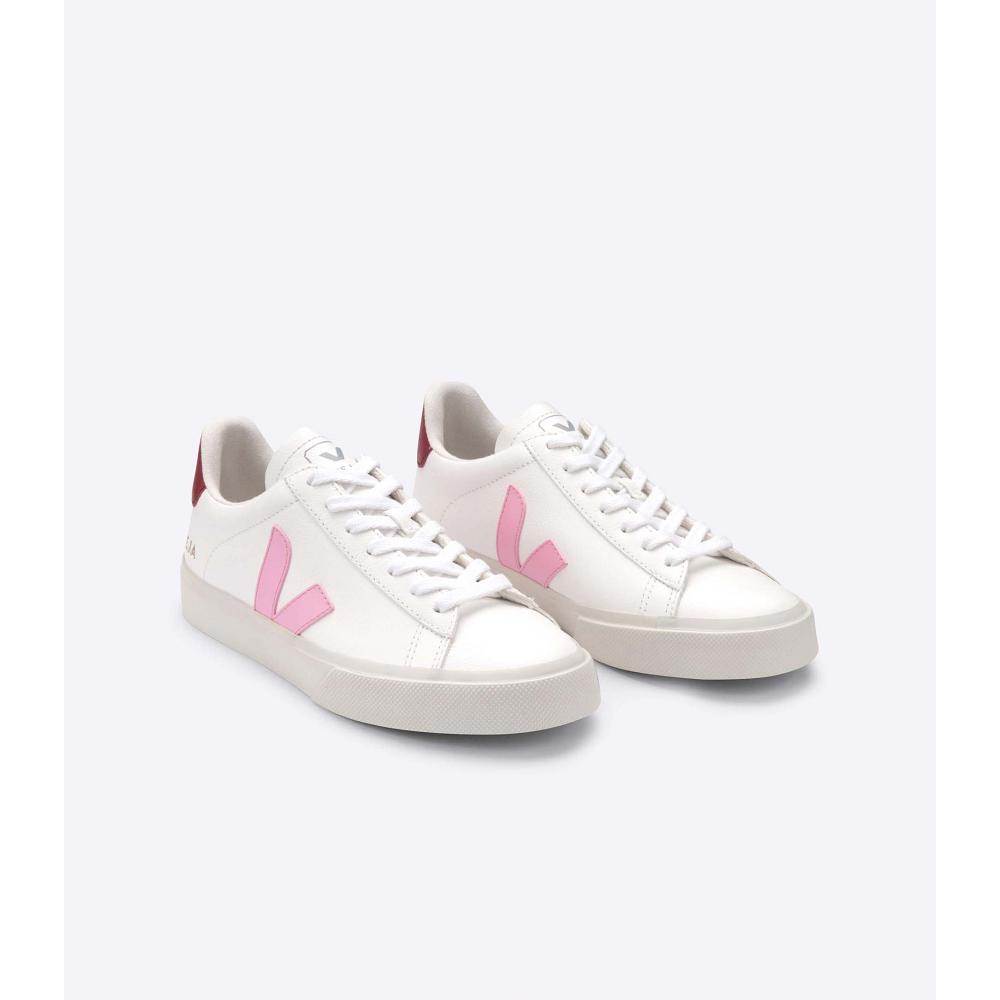 Veja CAMPO CHROMEFREE Low Tops Sneakers Heren White/Pink | NL 193WNB